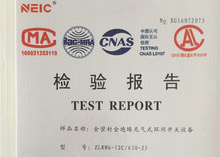 Inflatable ring network cabinet ZLRM6-12 - c inspection report